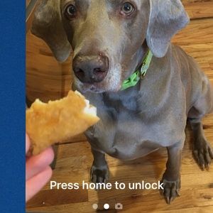 Meet your Posher, Julia